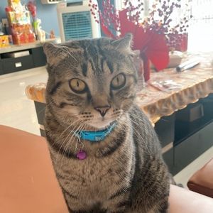 Meet your Posher, Minah